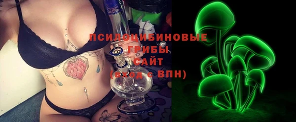 мяу мяу мука Иннополис