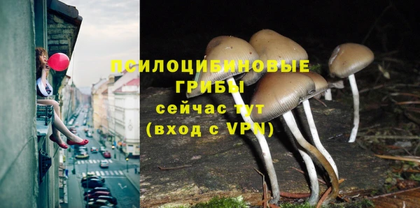 скорость Инсар