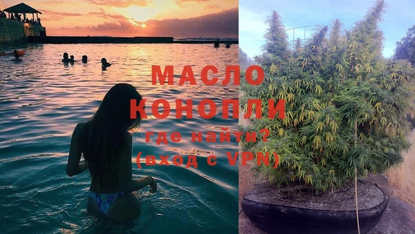 мяу мяу мука Иннополис