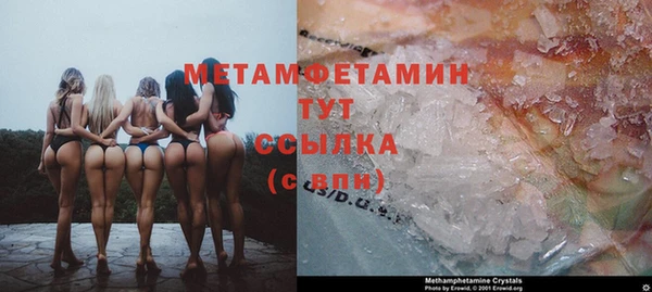 крисы Зерноград