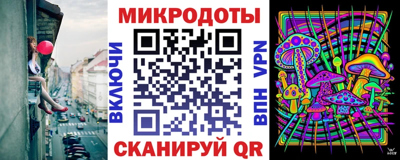 Псилоцибиновые грибы Psilocybe  Купить где  Асино 