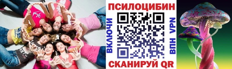 Галлюциногенные грибы Cubensis Асино